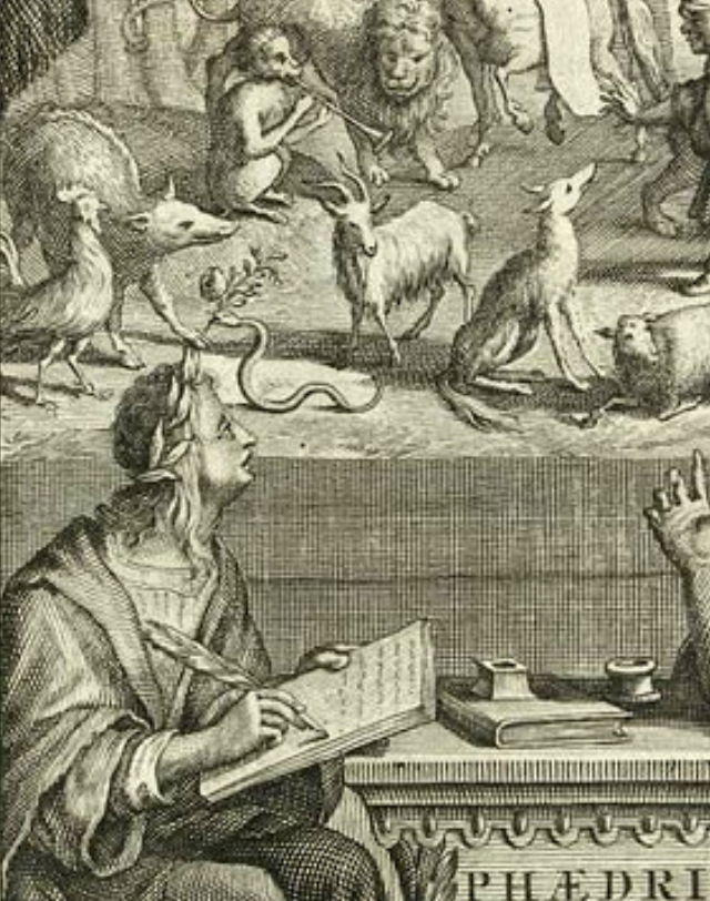Ilustração de Ranae ad solem